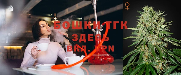 хмурый Краснослободск