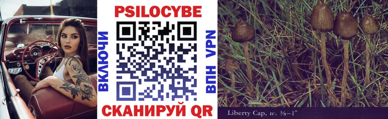 Галлюциногенные грибы Psilocybe  МЕГА зеркало  Кумертау 