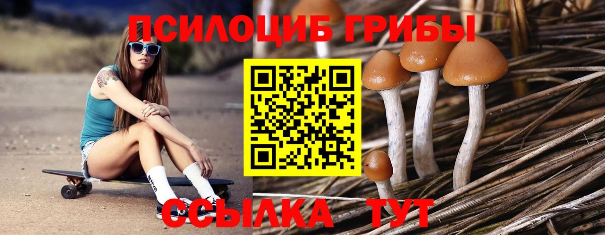 Псилоцибиновые грибы ЛСД  Галлюциногенные грибы мицелий  Вход с VPN  магазин продажи наркотиков  Кумертау 